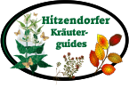 Hitzendorfer Kräuterguides